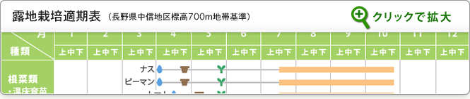 露地栽培適期表を見る