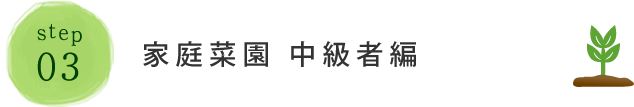 STEP03:家庭菜園 中級者編