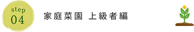 STEP04:家庭菜園 上級者編