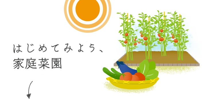  はじめてみよう、家庭菜園